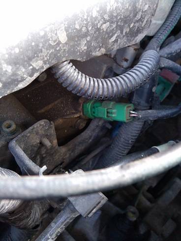 post-9922-0-25945500-1363850036_thumb.jp