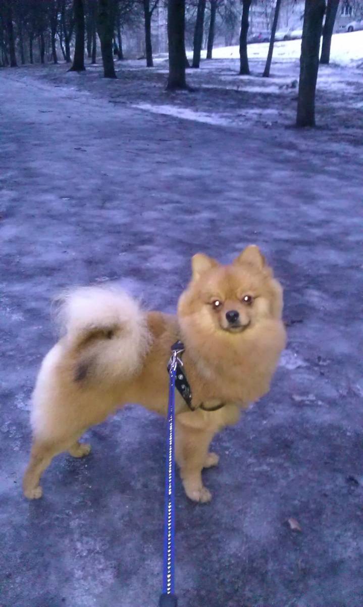 post-3457-0-51462300-1425885038_thumb.jp