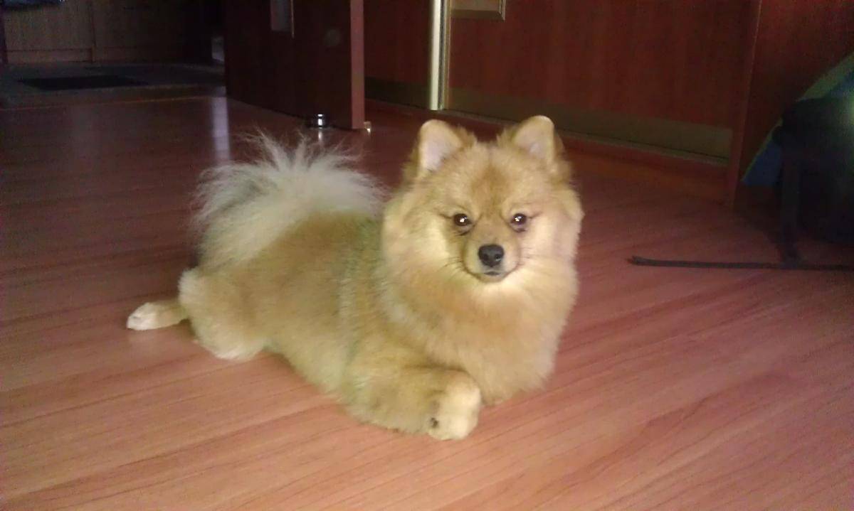 post-3457-0-78073600-1425885011_thumb.jp