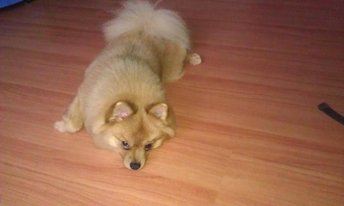 post-3457-0-97281300-1425884989_thumb.jp