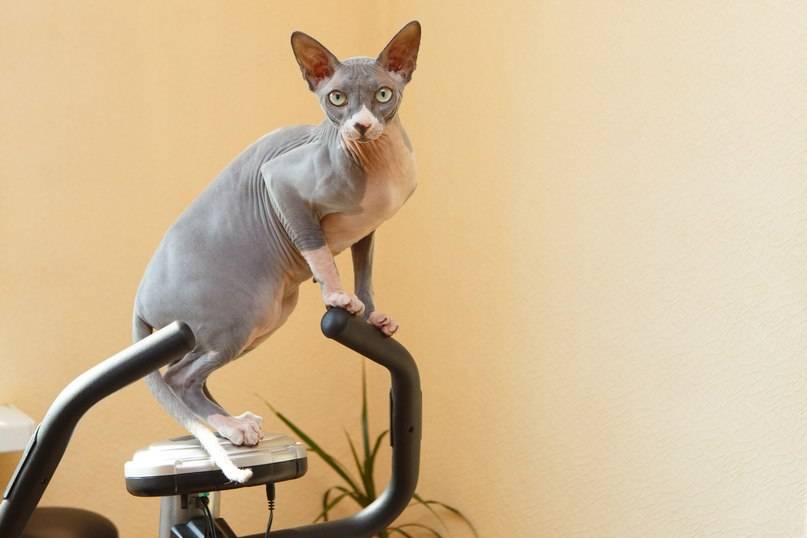 post-39249-0-53636500-1458047237_thumb.j