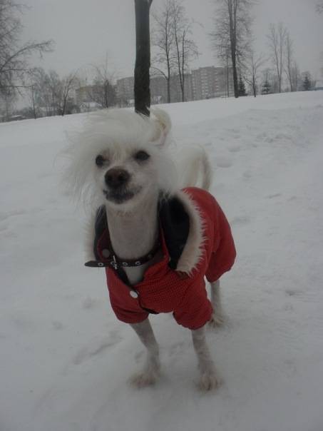 post-46294-0-68337800-1458057852_thumb.j