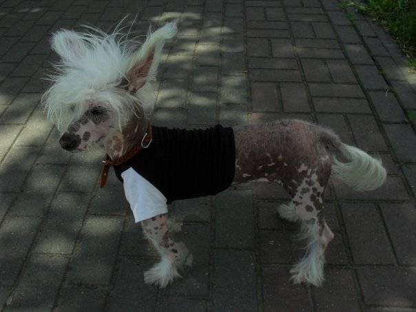 post-46294-0-68545400-1458058323_thumb.j