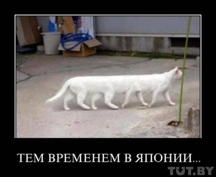 post-1024-0-78382100-1302258039_thumb.jp