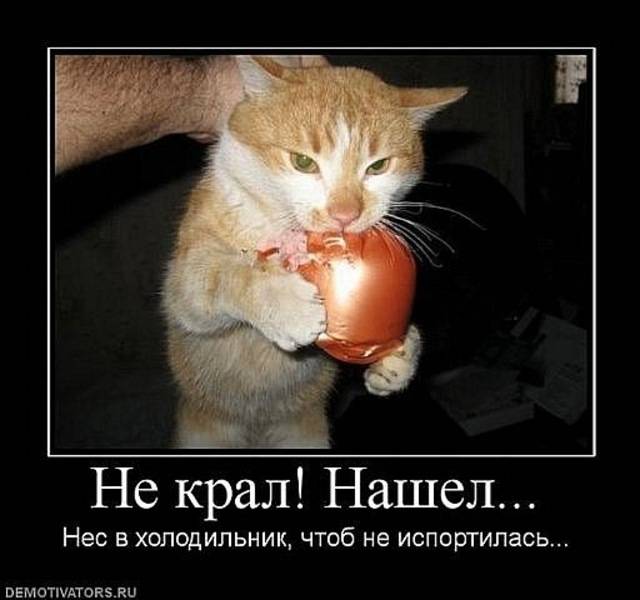 post-8342-0-26996900-1303994881_thumb.jp