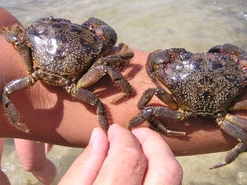 post-16192-0-56083000-1335384926_thumb.j