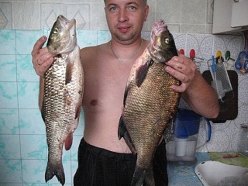 post-17122-0-31274100-1334084482_thumb.j