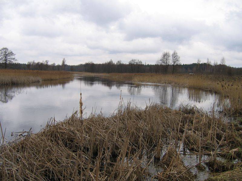 post-2377-0-01293900-1335359045_thumb.jp