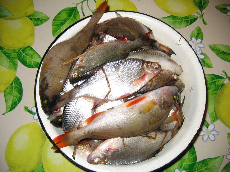 post-2377-0-97376700-1335359068_thumb.jp