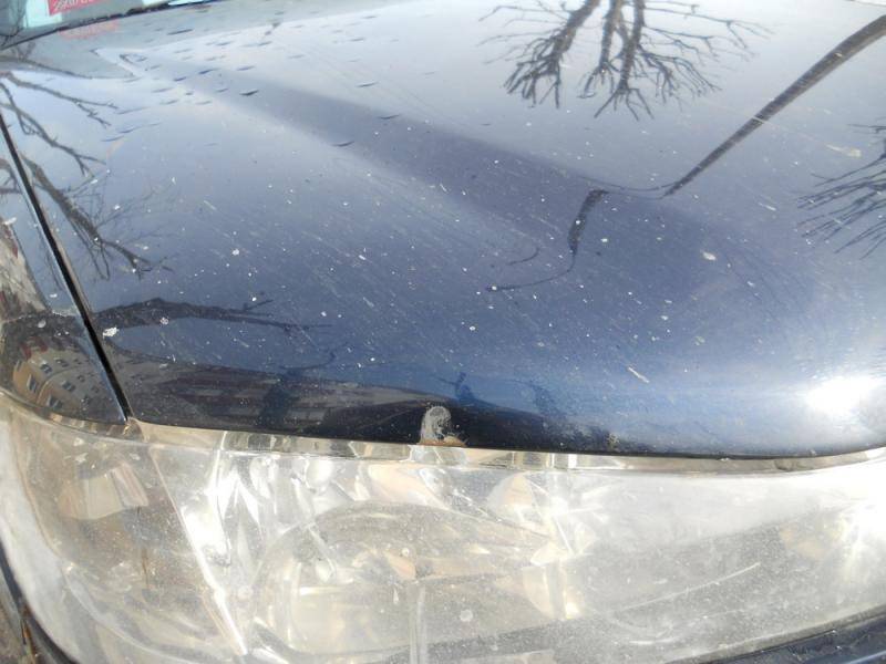 post-22788-0-53255200-1365318565_thumb.j