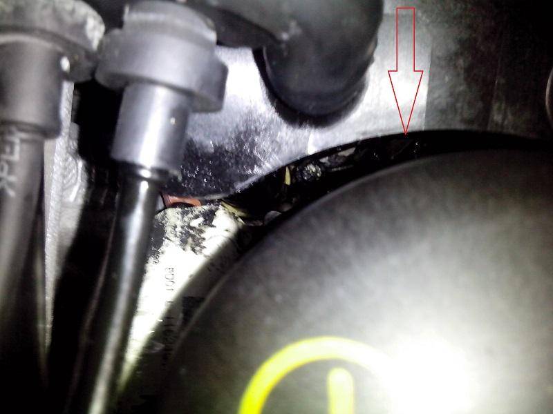 post-8550-0-78448300-1364839651_thumb.jp