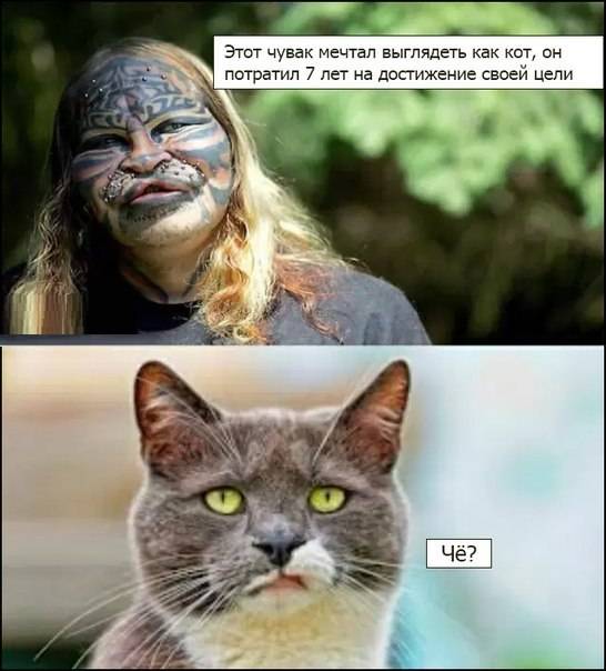 post-12869-0-89413900-1397766116_thumb.j