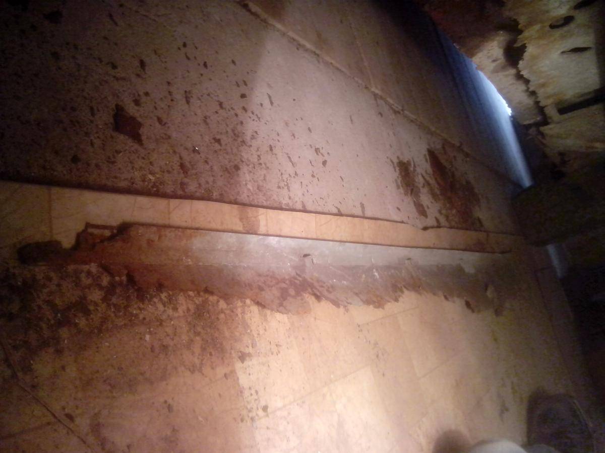 post-22701-0-90489500-1396544728_thumb.j