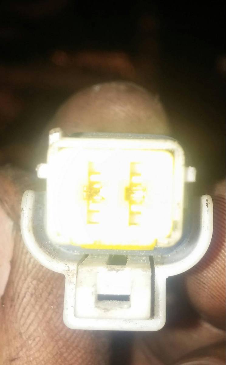 post-10084-0-18410700-1430413005_thumb.j