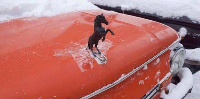 post-17499-0-05264200-1462011258_thumb.j