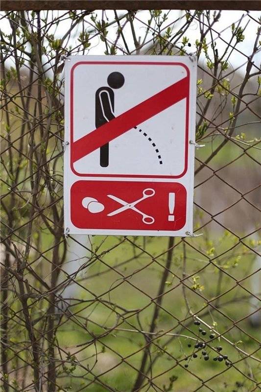 post-17499-0-78759200-1461749618_thumb.j