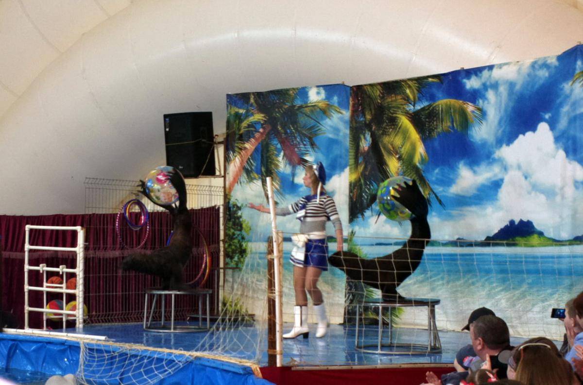 post-23448-0-14415200-1460051578_thumb.j