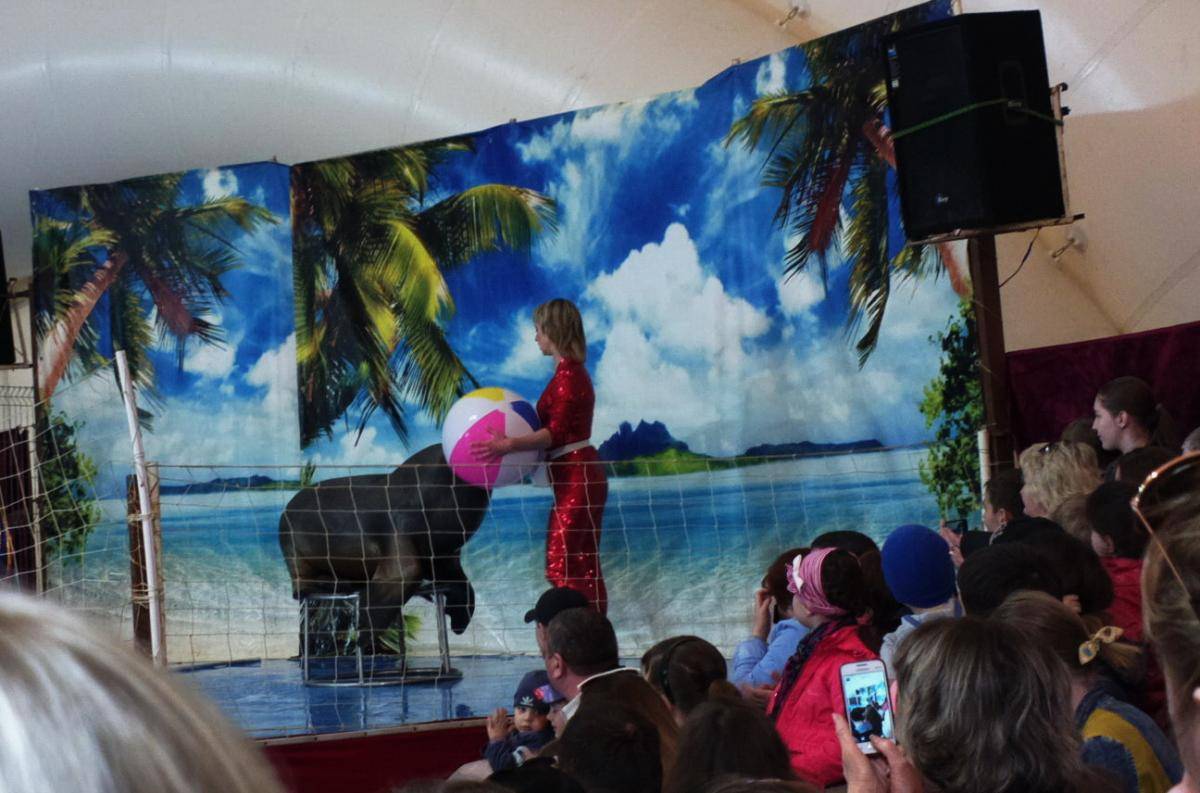 post-23448-0-26911100-1460051616_thumb.j