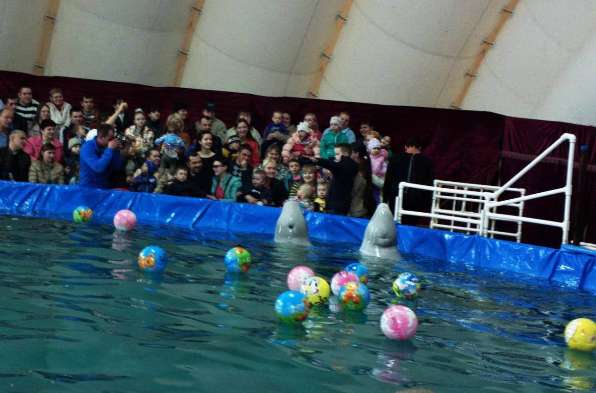 post-23448-0-36297200-1460051638_thumb.j