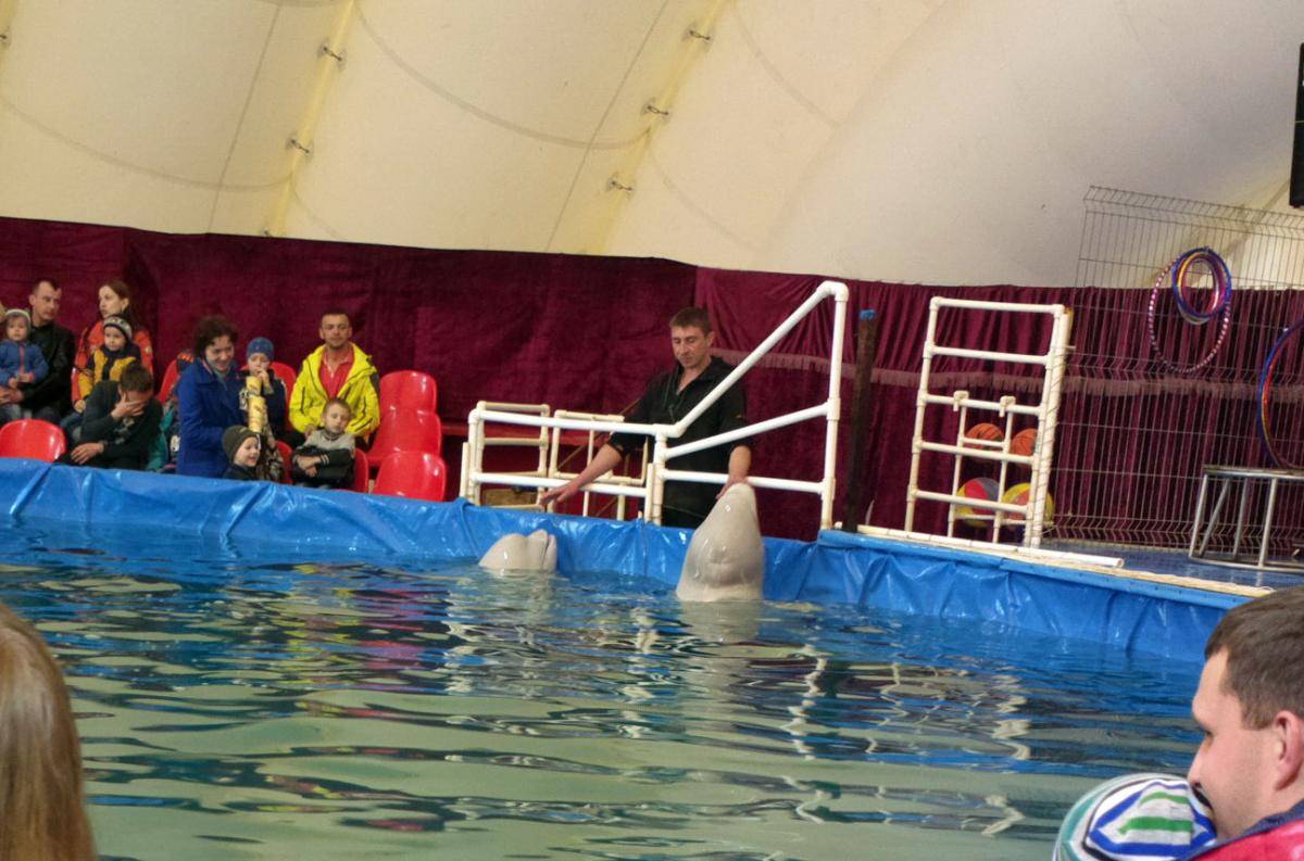 post-23448-0-96178600-1460051555_thumb.j