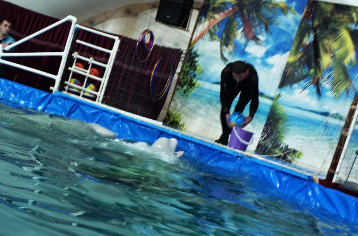 post-23448-0-98060100-1460051679_thumb.j