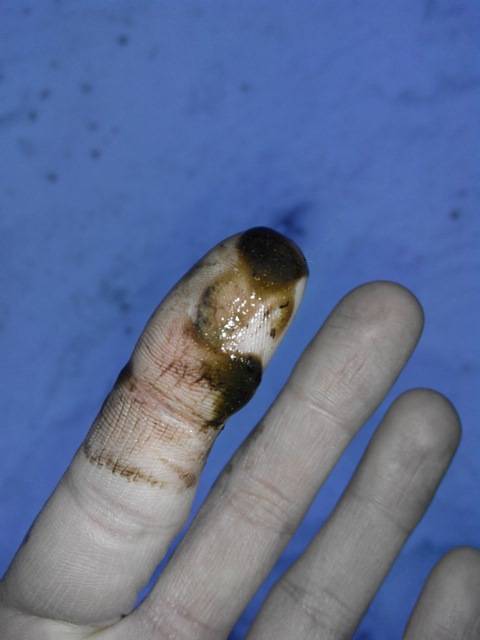 post-46294-0-83750700-1460547919_thumb.j