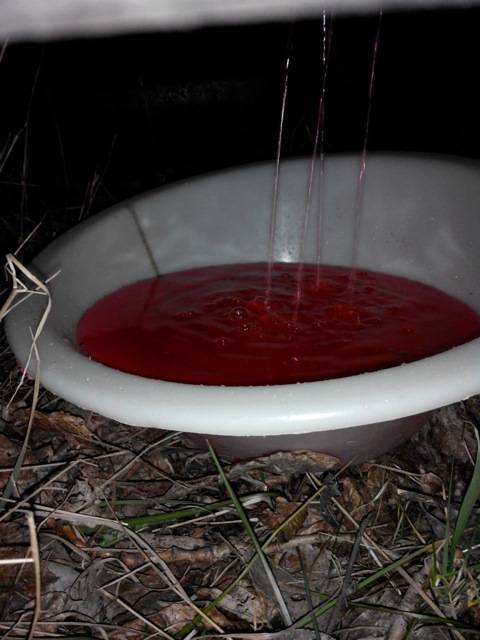 post-46294-0-87968400-1460547922_thumb.j