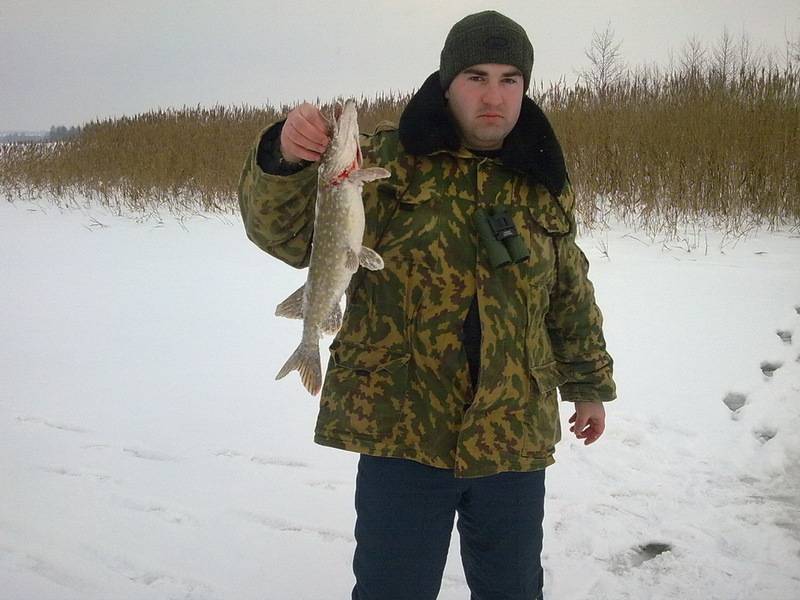 post-10001-0-26175800-1304412331_thumb.j