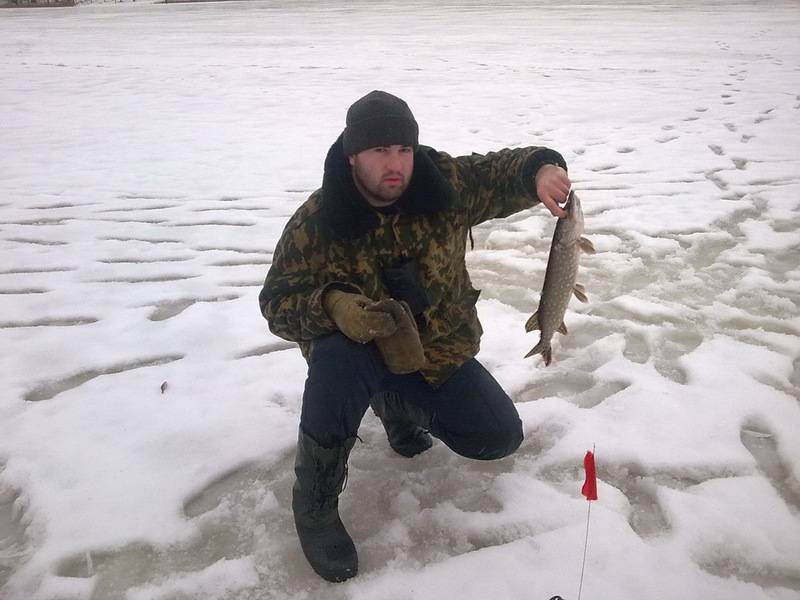 post-10001-0-90928000-1304412342_thumb.j