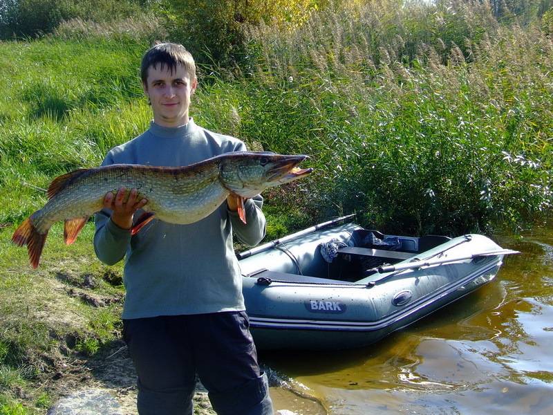 post-1245-0-71830800-1306527933_thumb.jp