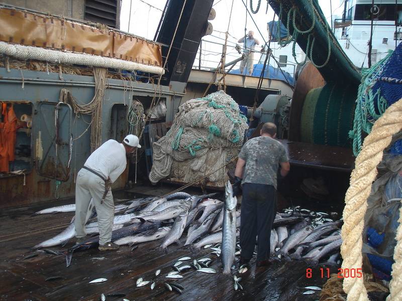 post-1975-0-15478200-1305405203_thumb.jp