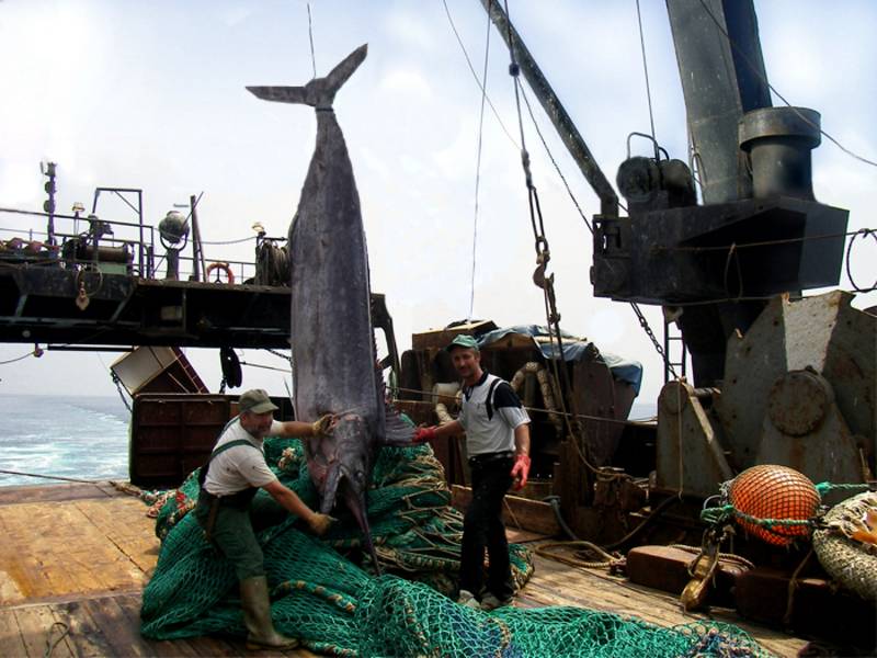 post-1975-0-27483900-1305405121_thumb.jp