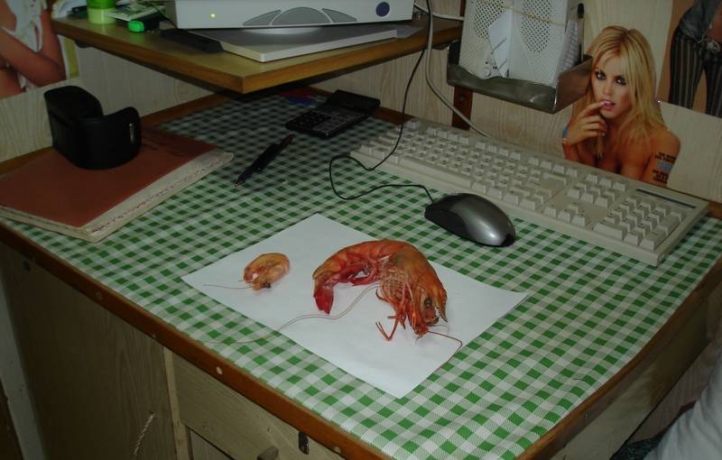 post-1975-0-54821800-1305405377_thumb.jp