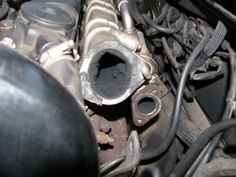 post-3216-0-98325100-1304332750_thumb.jp