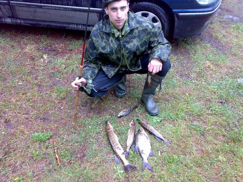 post-3742-0-19726200-1306343063_thumb.jp