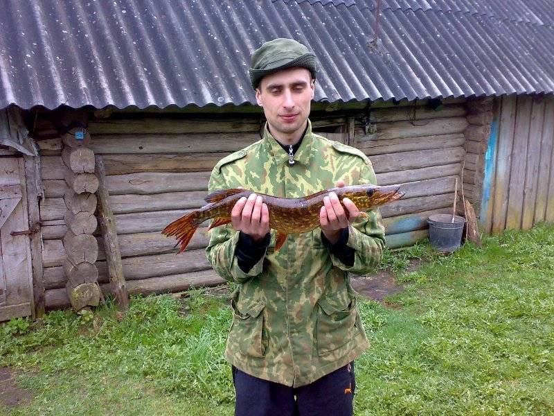 post-3742-0-60874500-1306343115_thumb.jp