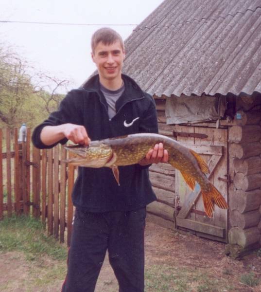 post-3742-0-75719600-1306423514_thumb.jp