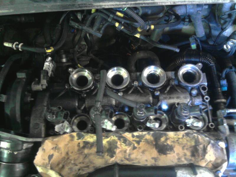 post-8377-0-39422500-1304367048_thumb.jp