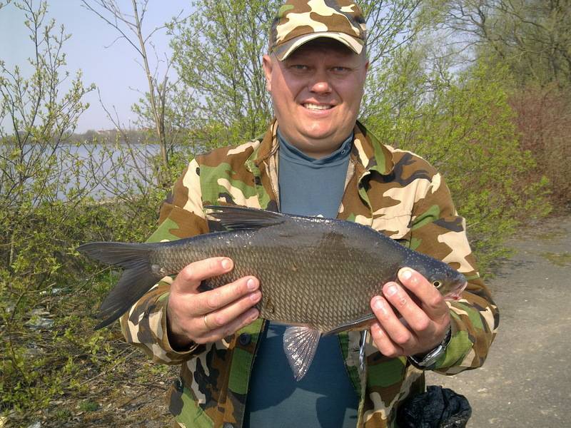 post-8456-0-27979500-1304439370_thumb.jp