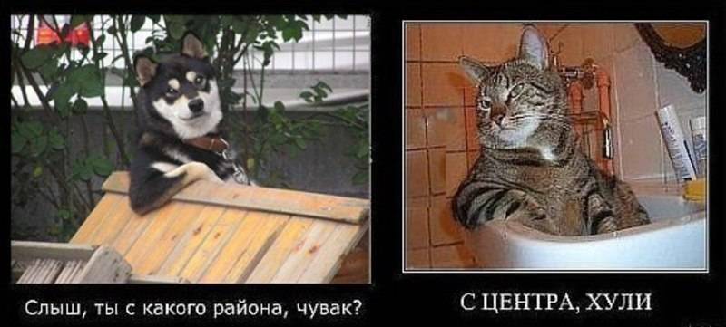 post-11834-0-52268100-1336386686_thumb.j