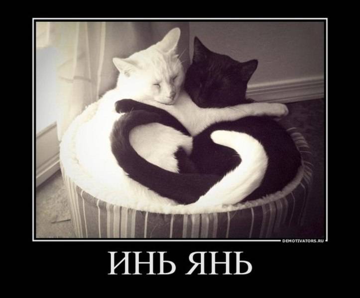 post-11834-0-76265700-1336386693_thumb.j