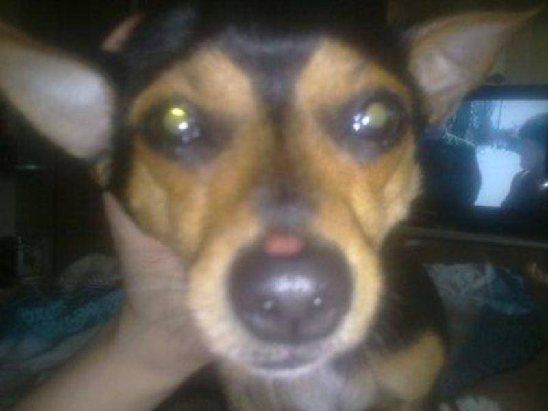 post-13381-0-78296600-1336151418_thumb.j