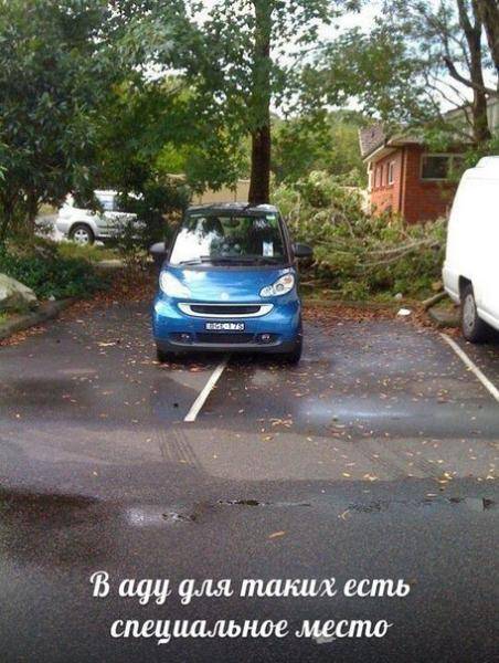 post-8969-0-53302700-1369301158_thumb.jp