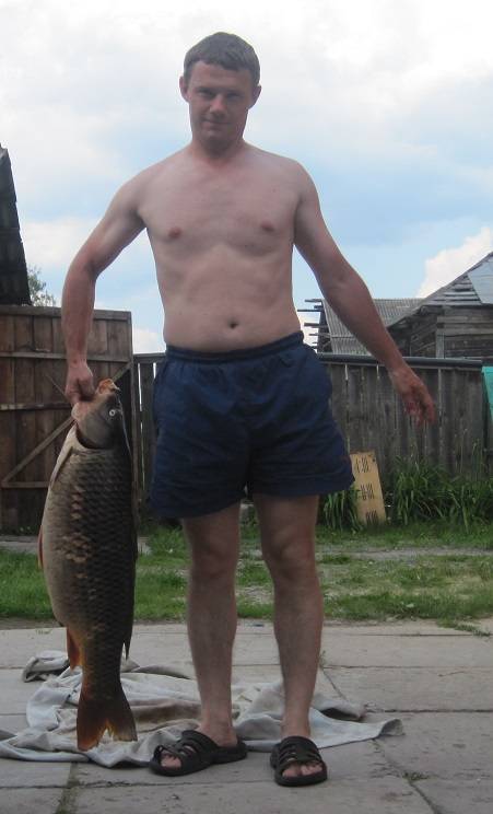 post-6481-0-29392400-1401186229_thumb.jp