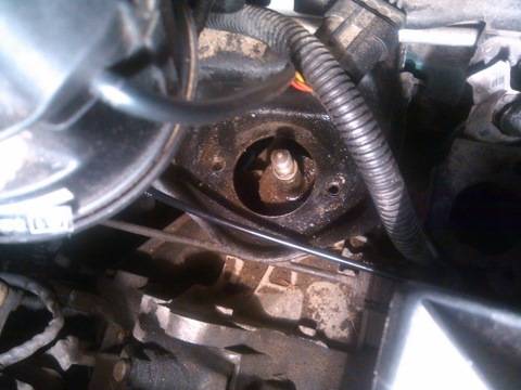 post-9922-0-29474200-1401283807_thumb.jp