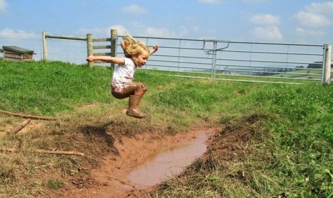 post-1647-0-15054900-1432718848_thumb.jp