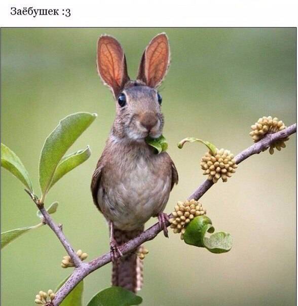 post-17499-0-08954800-1462722794_thumb.j