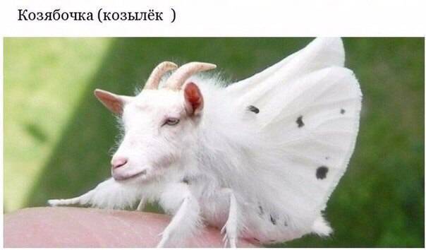 post-17499-0-25510000-1462722813_thumb.j