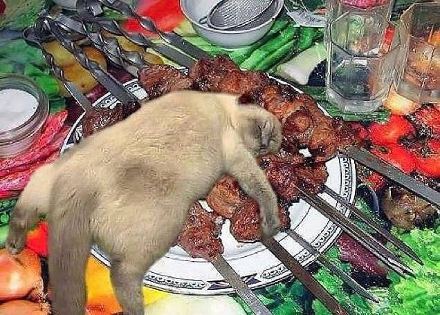 post-17499-0-61866800-1463142858_thumb.j