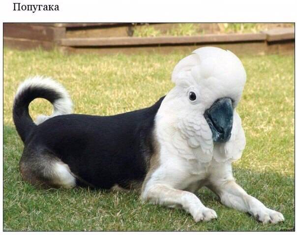 post-17499-0-68745600-1462722779_thumb.j